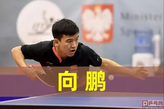 体育杭州亚 体育杭州亚